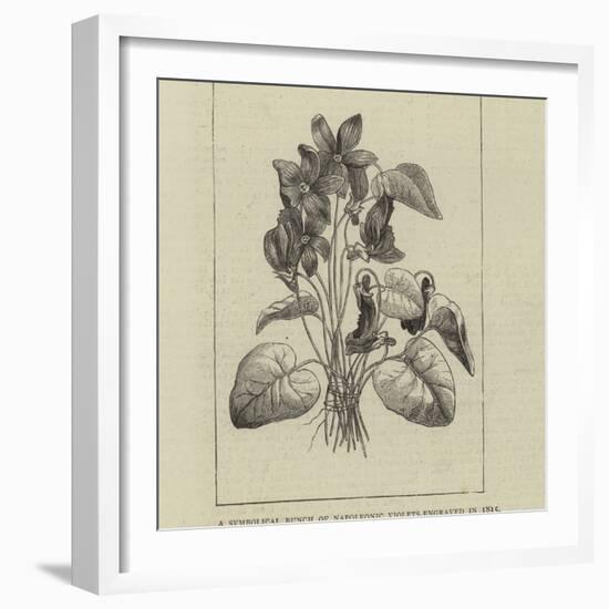A Symbolical Bunch of Napoleonic Violets-null-Framed Giclee Print