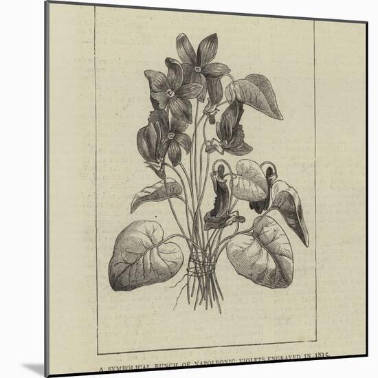 A Symbolical Bunch of Napoleonic Violets-null-Mounted Giclee Print