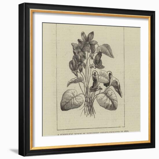 A Symbolical Bunch of Napoleonic Violets-null-Framed Giclee Print