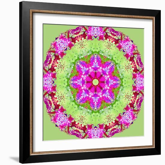A Symmetric Floral Montage from Flower Photographs-Alaya Gadeh-Framed Photographic Print
