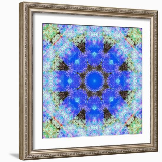 A Symmetric Ornament from Flowers, Photograph, Layer Work-Alaya Gadeh-Framed Photographic Print