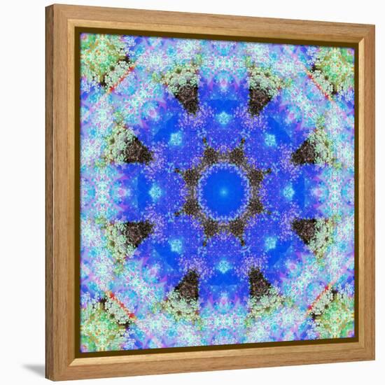 A Symmetric Ornament from Flowers, Photograph, Layer Work-Alaya Gadeh-Framed Premier Image Canvas