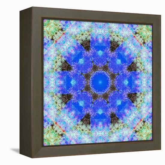 A Symmetric Ornament from Flowers, Photograph, Layer Work-Alaya Gadeh-Framed Premier Image Canvas