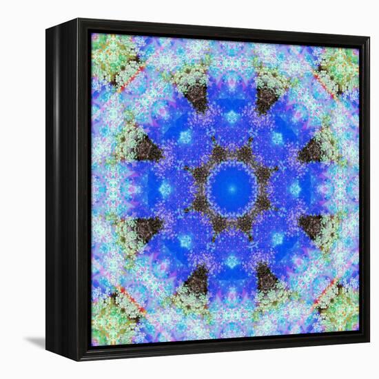 A Symmetric Ornament from Flowers, Photograph, Layer Work-Alaya Gadeh-Framed Premier Image Canvas