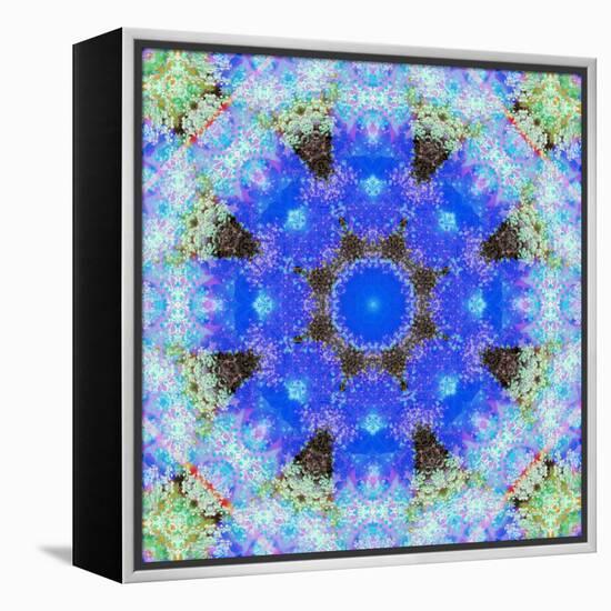 A Symmetric Ornament from Flowers, Photograph, Layer Work-Alaya Gadeh-Framed Premier Image Canvas