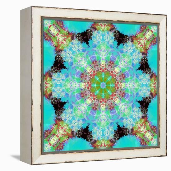 A Symmetric Ornament from Flowers, Photograph, Layer Work-Alaya Gadeh-Framed Premier Image Canvas