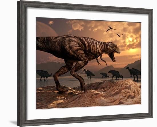 A T-Rex Plans His Attack on a Herd of Parasaurolophus Dinosaurs-Stocktrek Images-Framed Photographic Print