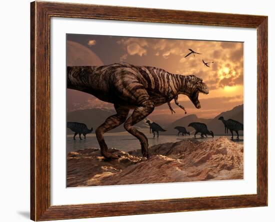 A T-Rex Plans His Attack on a Herd of Parasaurolophus Dinosaurs-Stocktrek Images-Framed Photographic Print