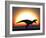 A T. Rex Silhouetted Against the Setting Sun at the End of a Prehistoric Day-Stocktrek Images-Framed Photographic Print