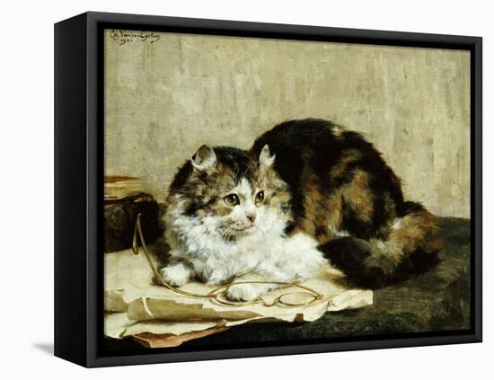 A Tabby Cat, 1920-Charles Van Den Eycken-Framed Premier Image Canvas