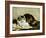 A Tabby Cat, 1920-Charles Van Den Eycken-Framed Giclee Print