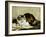 A Tabby Cat, 1920-Charles Van Den Eycken-Framed Giclee Print