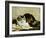 A Tabby Cat, 1920-Charles Van Den Eycken-Framed Giclee Print