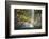 A Tall Waterfall Drops Off a Steep Cliff into Waters, Milford Sound on South Island, New Zealand-Paul Dymond-Framed Photographic Print