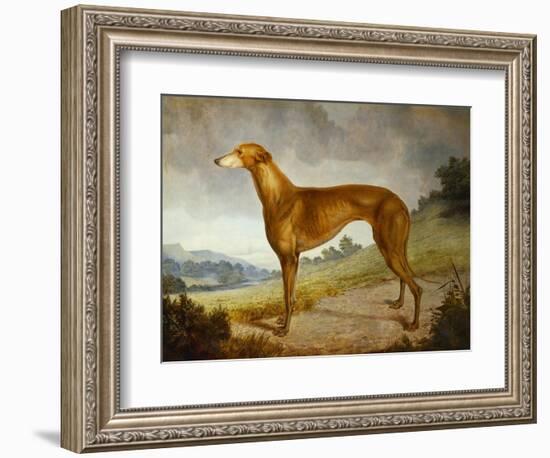 A Tan Greyhound Bitch in an Extensive River Landscape-F. H. Roscoe-Framed Giclee Print