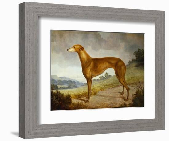 A Tan Greyhound Bitch in an Extensive River Landscape-F. H. Roscoe-Framed Giclee Print