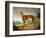 A Tan Greyhound Bitch in an Extensive River Landscape-F. H. Roscoe-Framed Giclee Print