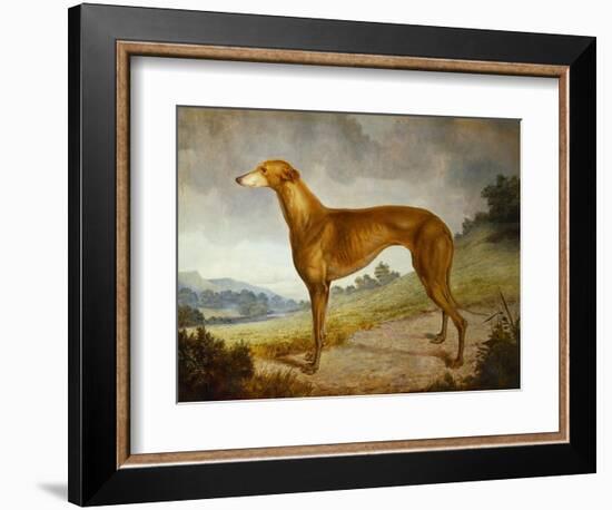 A Tan Greyhound Bitch in an Extensive River Landscape-F. H. Roscoe-Framed Giclee Print