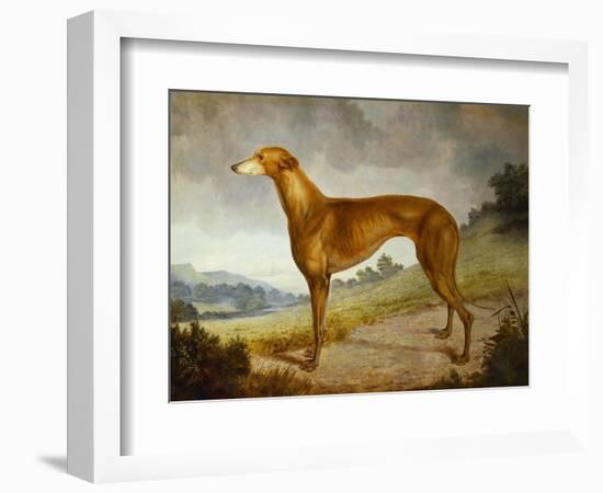 A Tan Greyhound Bitch in an Extensive River Landscape-F. H. Roscoe-Framed Giclee Print