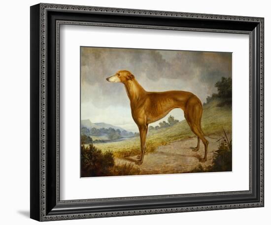 A Tan Greyhound Bitch in an Extensive River Landscape-F. H. Roscoe-Framed Giclee Print