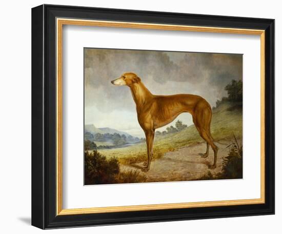 A Tan Greyhound Bitch in an Extensive River Landscape-F. H. Roscoe-Framed Giclee Print