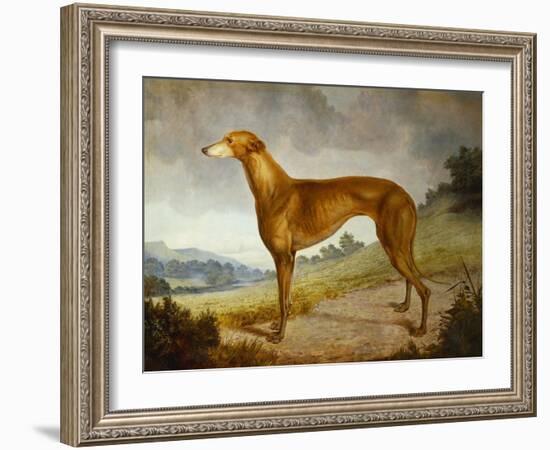 A Tan Greyhound Bitch in an Extensive River Landscape-F. H. Roscoe-Framed Giclee Print