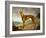 A Tan Greyhound Bitch in an Extensive River Landscape-F. H. Roscoe-Framed Giclee Print