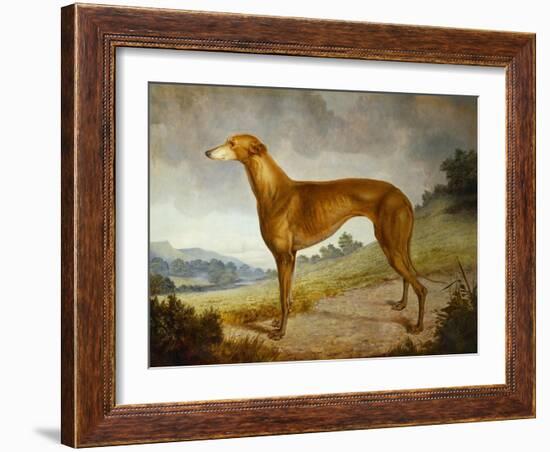 A Tan Greyhound Bitch in an Extensive River Landscape-F. H. Roscoe-Framed Giclee Print