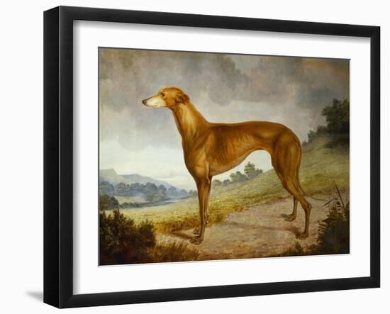 A Tan Greyhound Bitch in an Extensive River Landscape-F. H. Roscoe-Framed Giclee Print