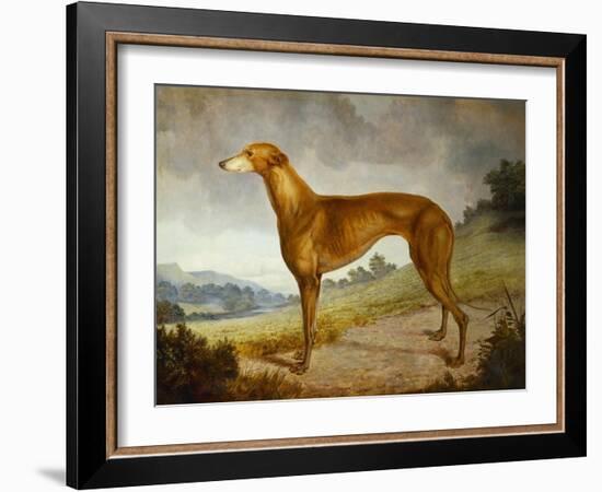 A Tan Greyhound Bitch in an Extensive River Landscape-F. H. Roscoe-Framed Giclee Print