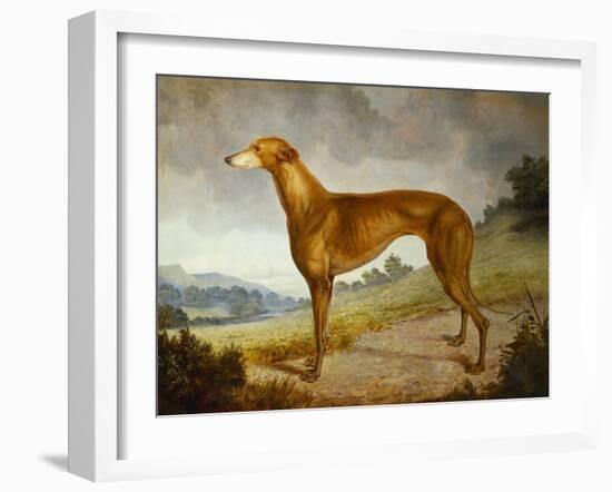 A Tan Greyhound Bitch in an Extensive River Landscape-F. H. Roscoe-Framed Giclee Print