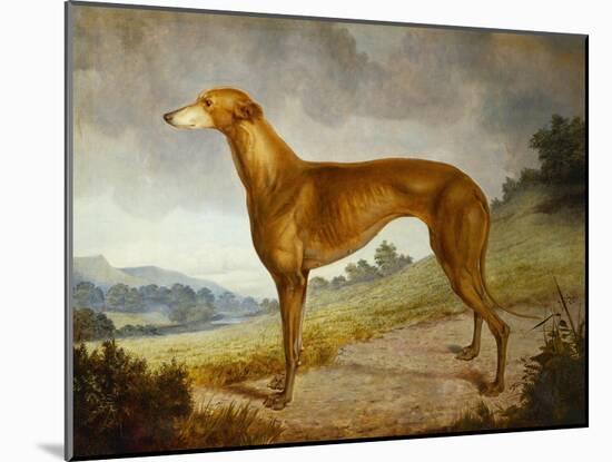 A Tan Greyhound Bitch in an Extensive River Landscape-F. H. Roscoe-Mounted Giclee Print