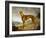 A Tan Greyhound Bitch in an Extensive River Landscape-F. H. Roscoe-Framed Giclee Print