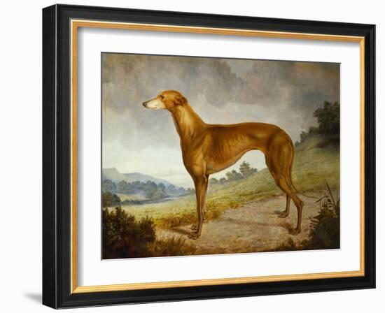 A Tan Greyhound Bitch in an Extensive River Landscape-F. H. Roscoe-Framed Giclee Print