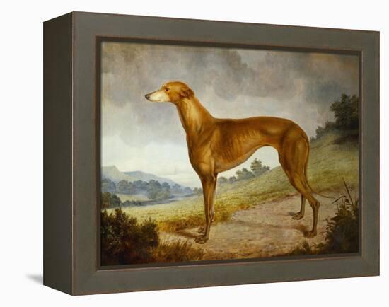 A Tan Greyhound Bitch in an Extensive River Landscape-F. H. Roscoe-Framed Premier Image Canvas