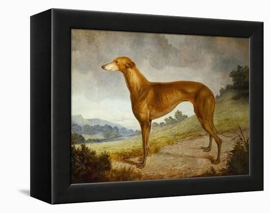 A Tan Greyhound Bitch in an Extensive River Landscape-F. H. Roscoe-Framed Premier Image Canvas