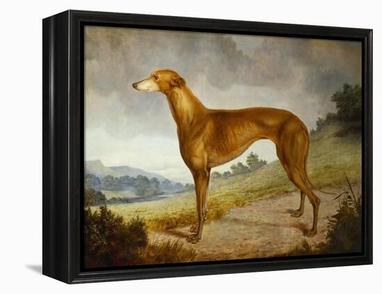 A Tan Greyhound Bitch in an Extensive River Landscape-F. H. Roscoe-Framed Premier Image Canvas