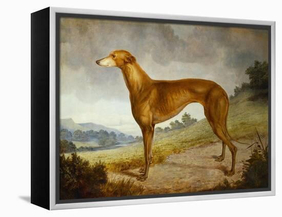 A Tan Greyhound Bitch in an Extensive River Landscape-F. H. Roscoe-Framed Premier Image Canvas