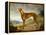 A Tan Greyhound Bitch in an Extensive River Landscape-F. H. Roscoe-Framed Premier Image Canvas