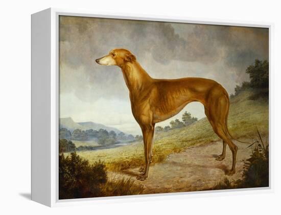 A Tan Greyhound Bitch in an Extensive River Landscape-F. H. Roscoe-Framed Premier Image Canvas