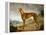 A Tan Greyhound Bitch in an Extensive River Landscape-F. H. Roscoe-Framed Premier Image Canvas