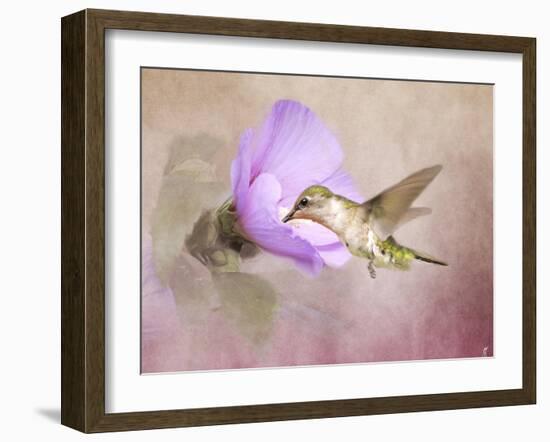 A Taste of Nectar Hummingbird-Jai Johnson-Framed Giclee Print