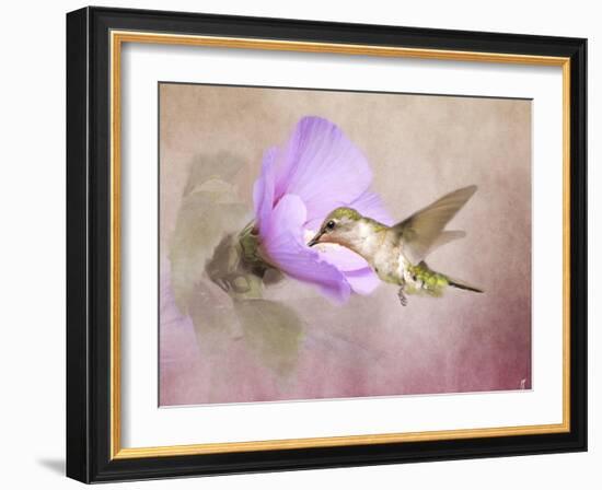 A Taste of Nectar Hummingbird-Jai Johnson-Framed Giclee Print