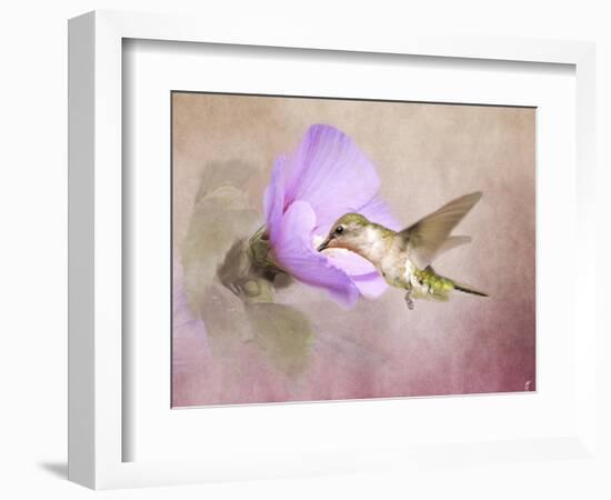 A Taste of Nectar Hummingbird-Jai Johnson-Framed Giclee Print