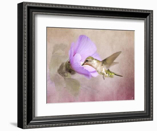 A Taste of Nectar Hummingbird-Jai Johnson-Framed Giclee Print