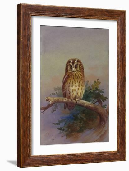 A Tawny Owl Perched on an Oak Branch, 1917 watercolor-Archibald Thorburn-Framed Giclee Print