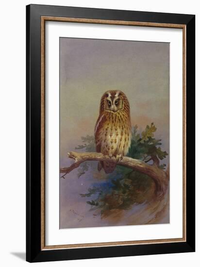 A Tawny Owl Perched on an Oak Branch, 1917 watercolor-Archibald Thorburn-Framed Giclee Print