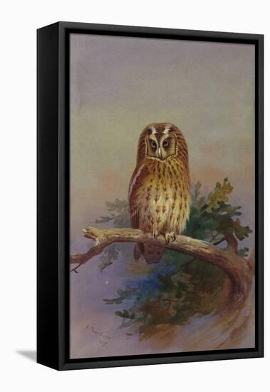 A Tawny Owl Perched on an Oak Branch, 1917 watercolor-Archibald Thorburn-Framed Premier Image Canvas