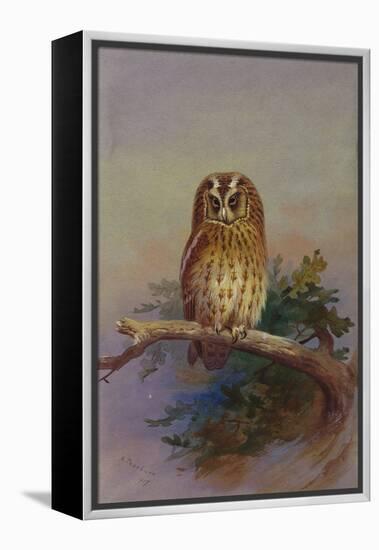 A Tawny Owl Perched on an Oak Branch, 1917 watercolor-Archibald Thorburn-Framed Premier Image Canvas
