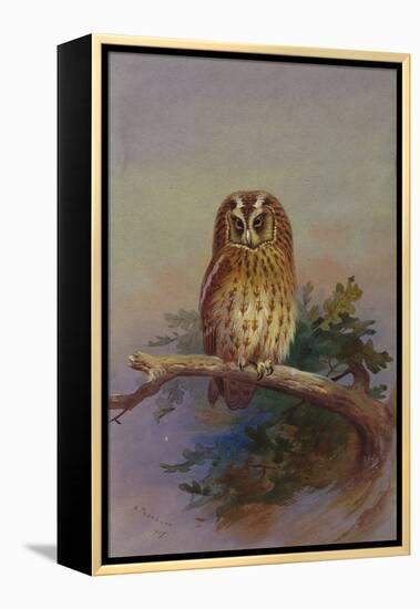 A Tawny Owl Perched on an Oak Branch, 1917 watercolor-Archibald Thorburn-Framed Premier Image Canvas